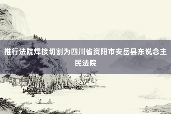 推行法院焊接切割为四川省资阳市安岳县东说念主民法院